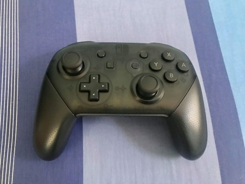 Nintendo Switch Controller.JPG